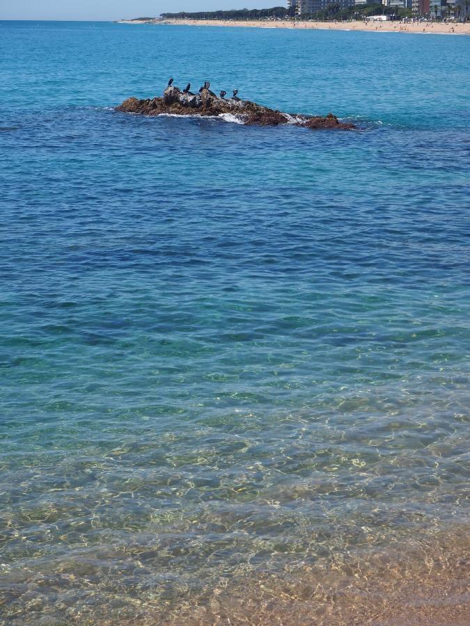 Apartamento Mar I Cel Blanes Exterior photo